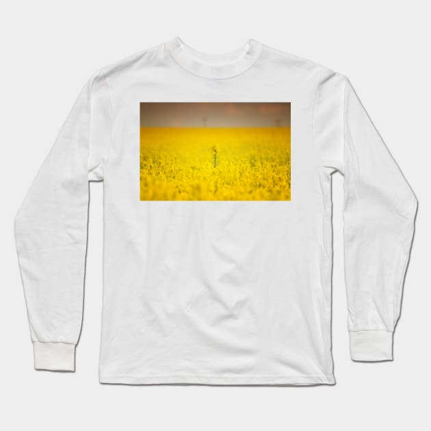 One Long Sleeve T-Shirt by Nigdaw